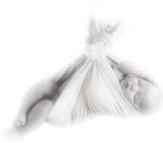 NOS PASSIONS